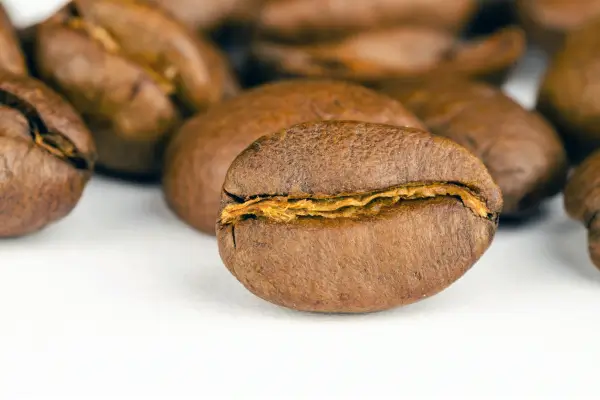 O Café de Alta Qualidade: Como Identificar Grãos Premium
